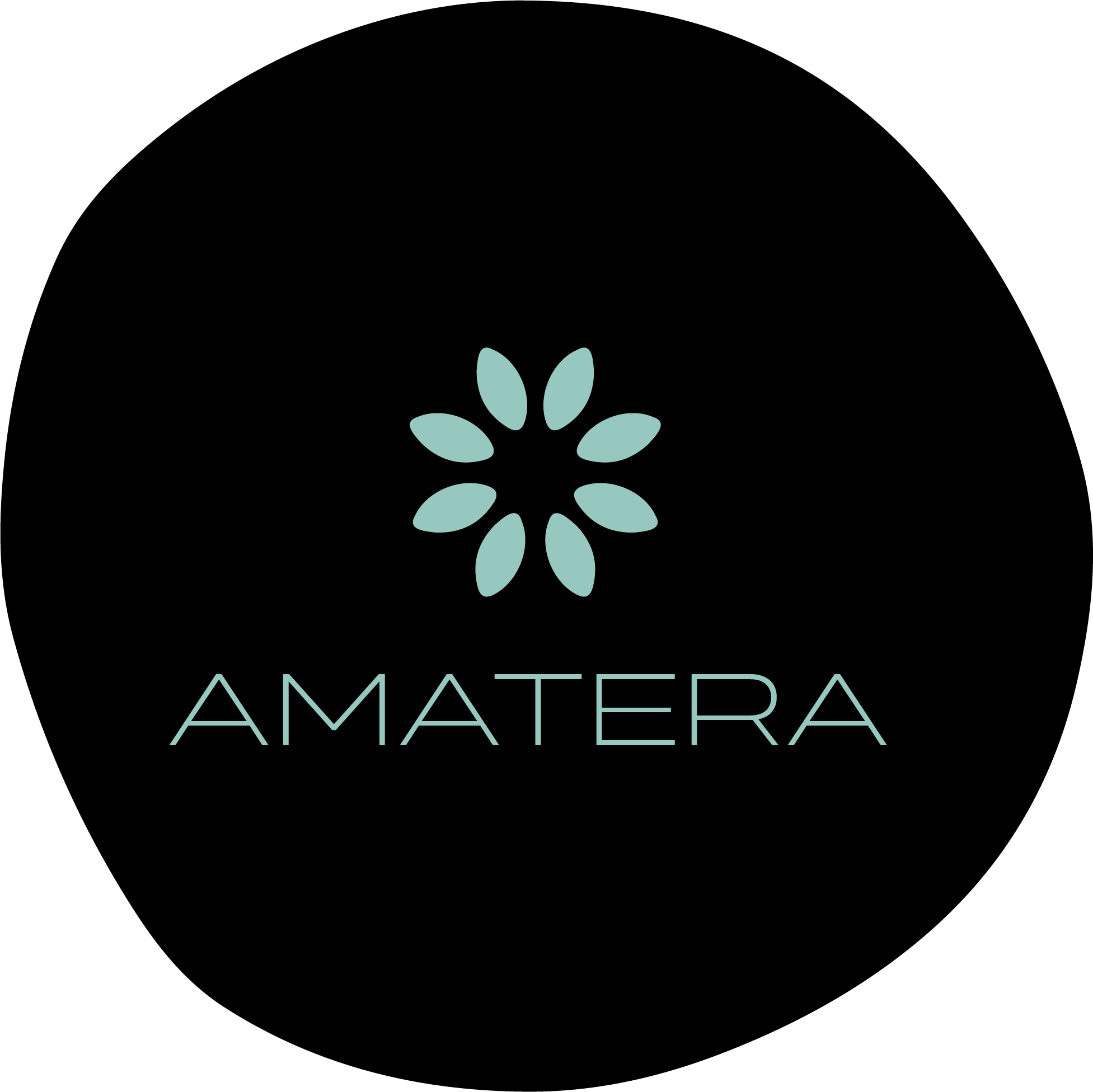 Logo vectorisé - Version 1